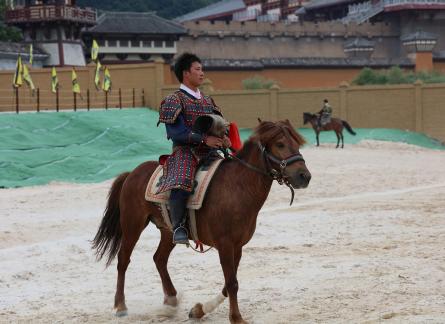 Equestrian performance 3