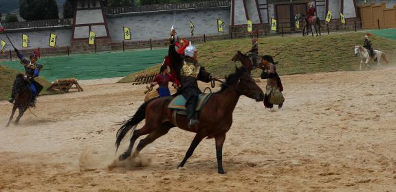 Equestrian performance 8