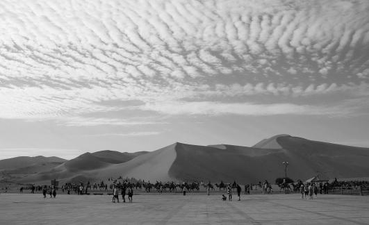Desert Journey 4