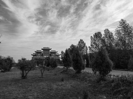Horseshoe Thousand Buddha 8
