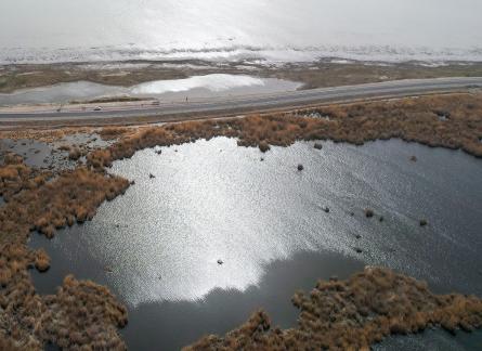 Ice Lake Reed Path Book 24