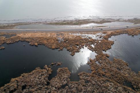 Ice Lake Reed Path Book 27