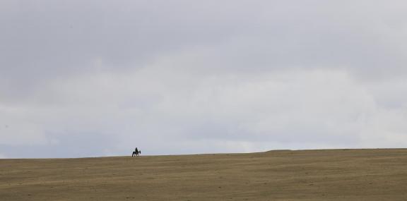 Walking Alone 1