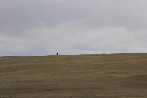 Walking Alone 2