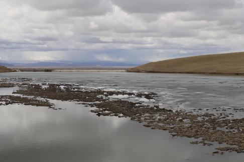 Silent riverbank 1