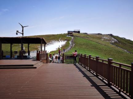 Green Field Walking Platform