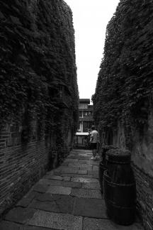 The charm of Jiangnan 70