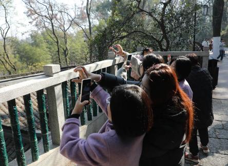 Journey to Yuelu Mountain 11