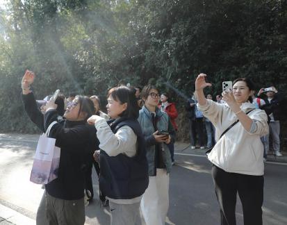 Journey to Yuelu Mountain 12