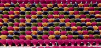 Colori della natura