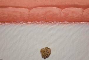 Mare e terra