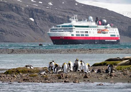 Penguins on shore