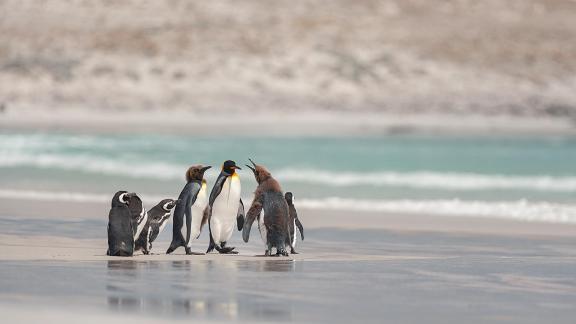 Briefing on the beach