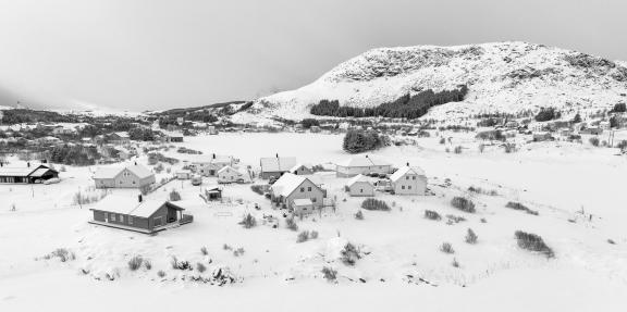 Houses in the snow