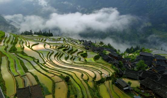 JIAJU Terraced Field Dawn