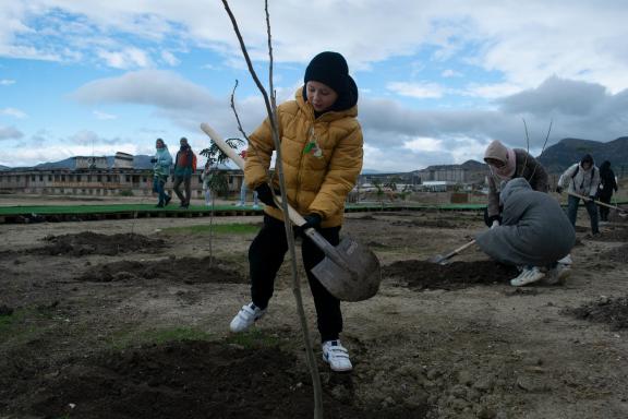 On tree planting