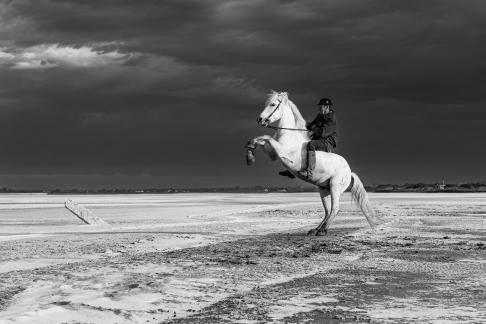 Aux Salins Aigues Mortes 12