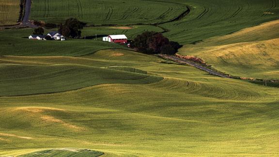 Spoken Palouse Fields