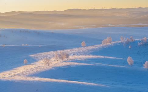 Snow in the morning