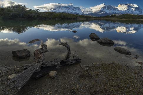 Fitzroy Reflected w Driftwood