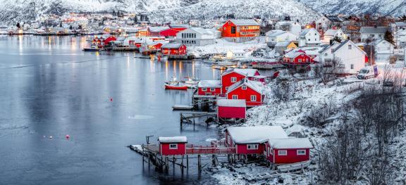 Reine up close