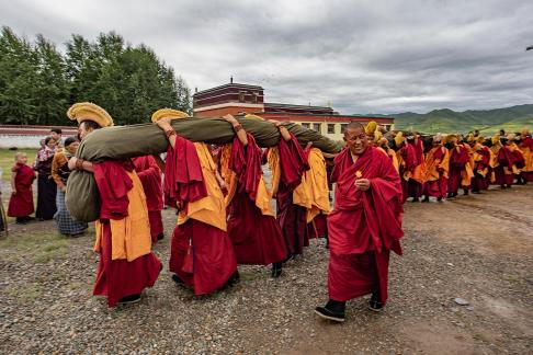 Group Of Lama Two