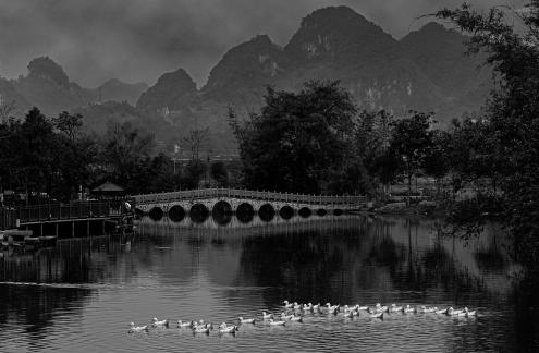 The small bridge and a duck pond