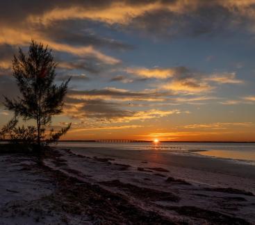 Florida Winter Sunrise