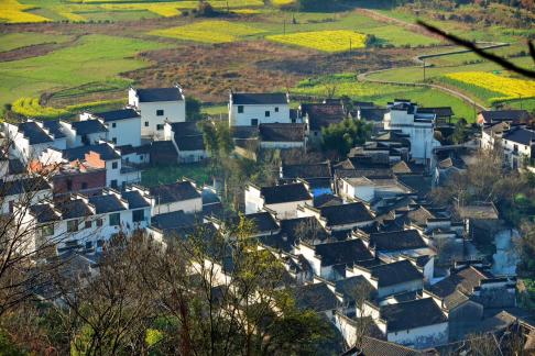 Wuyuan Spring Scenery