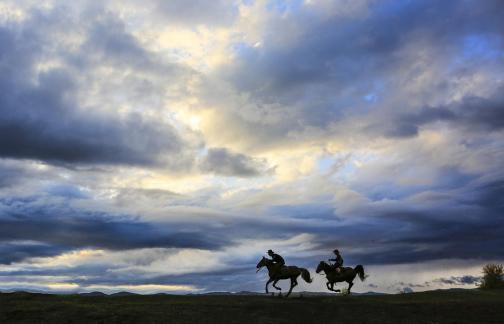 Two horses jumping together