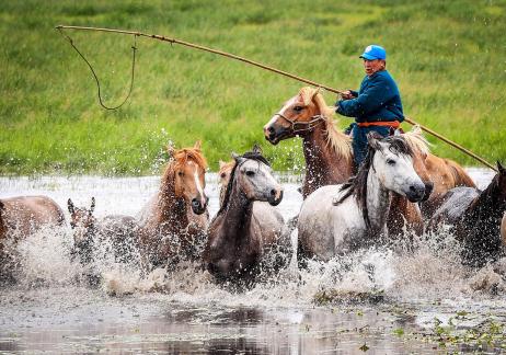 Water brave warrior