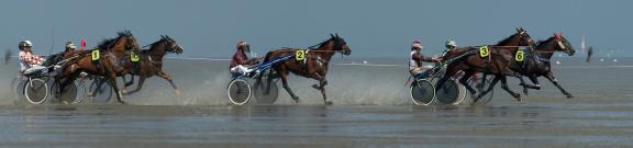 trot race 4