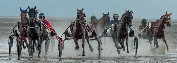 trot race 108