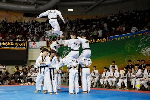 Taekwondo 08