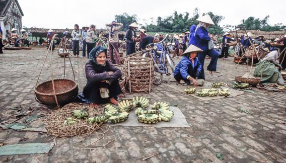 Banana stand