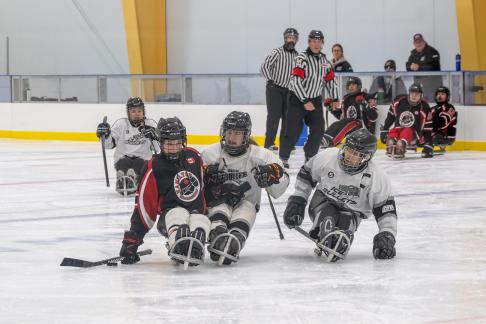 Sledge Hockey 13