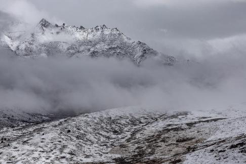 snow on the mountain two