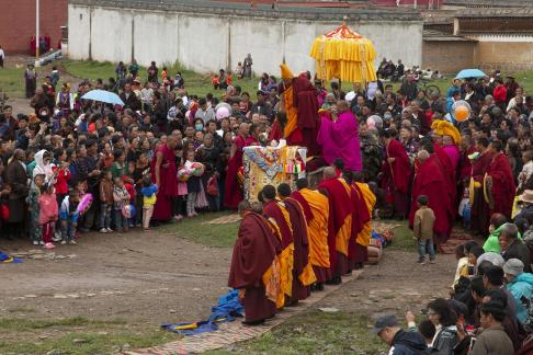 Group Of Lama thirty eight