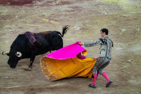 Feria du Riz 16