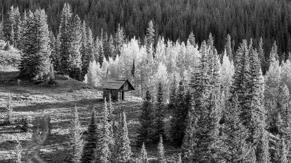 Old Cabin in a Clearing