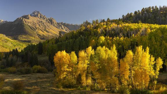 Fall Aspens w Mt Wilson 01