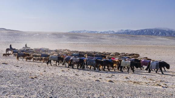 Kazakh Spring Migration Day 1 02