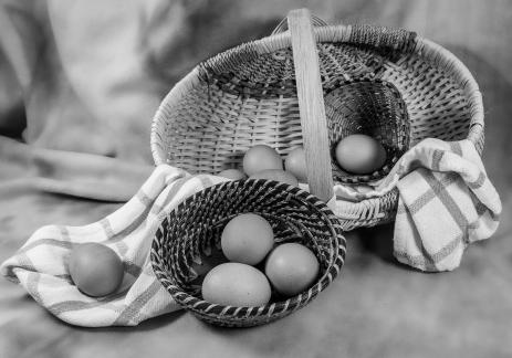 Basket of Eggs 3419