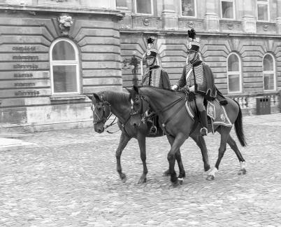 Budapest Horse Guard