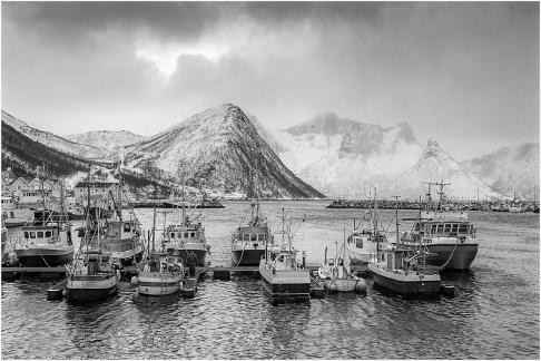 Husoy fishing fleet