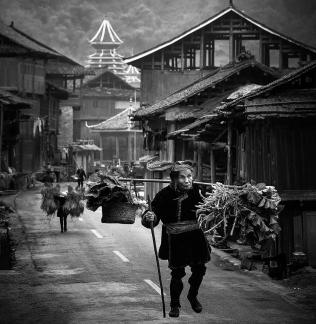 Picking Vegetables Old Man