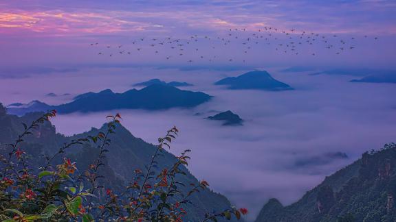 Morning light in Zhangjiajie A