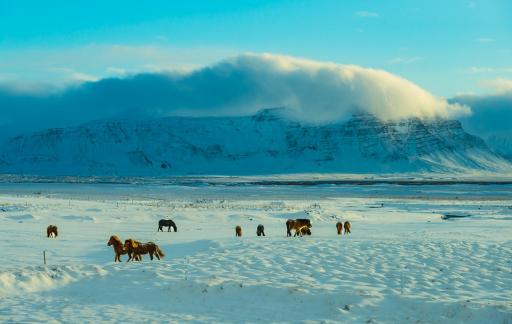 Iceland Mountain Scenary 102