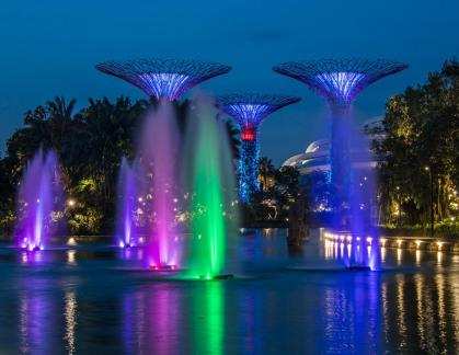 Dragonfly Lake with Supertrees