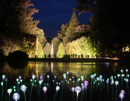 Field of light with fountain